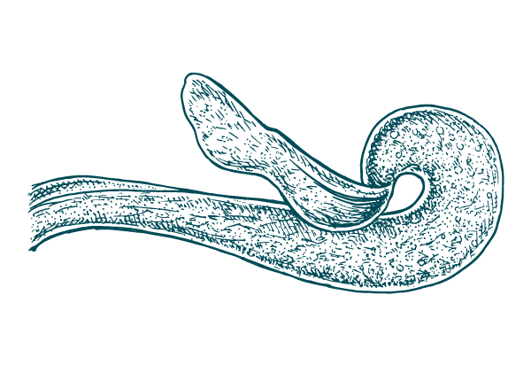 RetourEnSoi-maquette-1